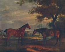 Yorkshire Hunters at Grass c1840, (1922). Artist: John Ferneley