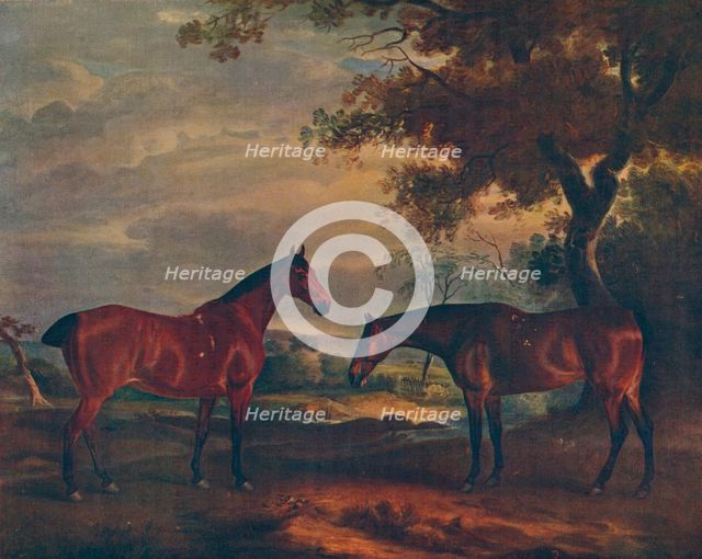 'Yorkshire Hunters at Grass', c1840, (1922). Artist: John Ferneley.