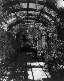 York Cottage, York Hall, York Co., Virginia, interior of arbor, between 1905 and 1933. Creator: Frances Benjamin Johnston