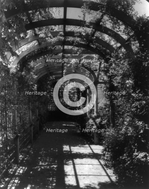 York Cottage, York Hall, York Co., Virginia, interior of arbor, between 1905 and 1933. Creator: Frances Benjamin Johnston.