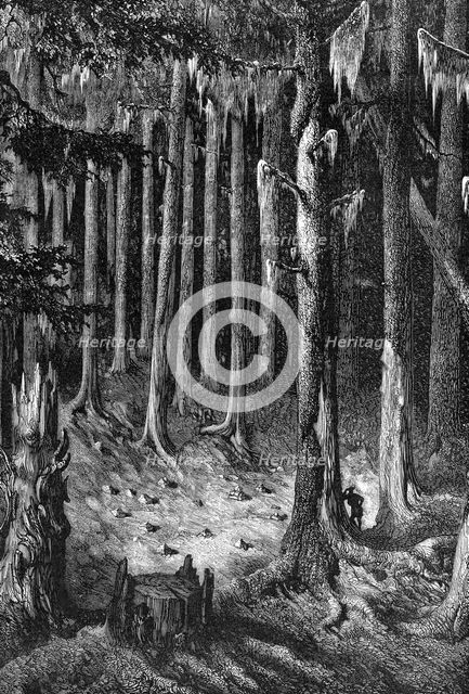 Yosemite National Park, USA, c1875. Artist: Unknown