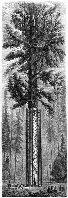 Yosemite National Park California, 19th century.Artist: Paul Huet