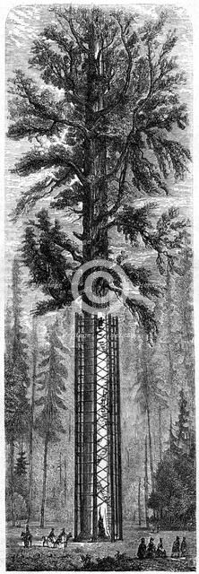 'Yosemite National Park', California, 19th century.Artist: Paul Huet