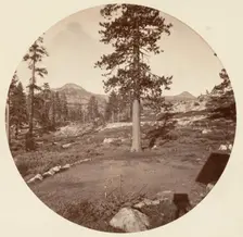 [Yosemite National Park, California], ca. 1878. Creator: Carleton Emmons Watkins