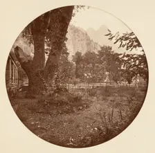 [Yosemite National Park, California], ca. 1878. Creator: Carleton Emmons Watkins