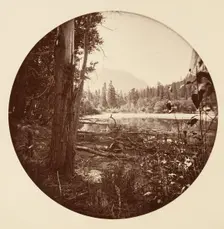 [Yosemite National Park, California], ca. 1878. Creator: Carleton Emmons Watkins