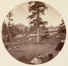 [Yosemite National Park, California], ca. 1878. Creator: Carleton Emmons Watkins
