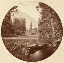 [Yosemite National Park, California], ca. 1878. Creator: Carleton Emmons Watkins