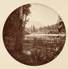 [Yosemite National Park, California], ca. 1878. Creator: Carleton Emmons Watkins
