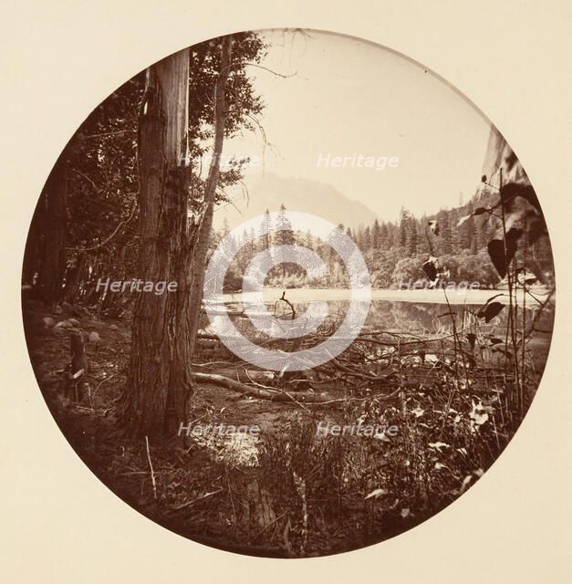 [Yosemite National Park, California], ca. 1878. Creator: Carleton Emmons Watkins.