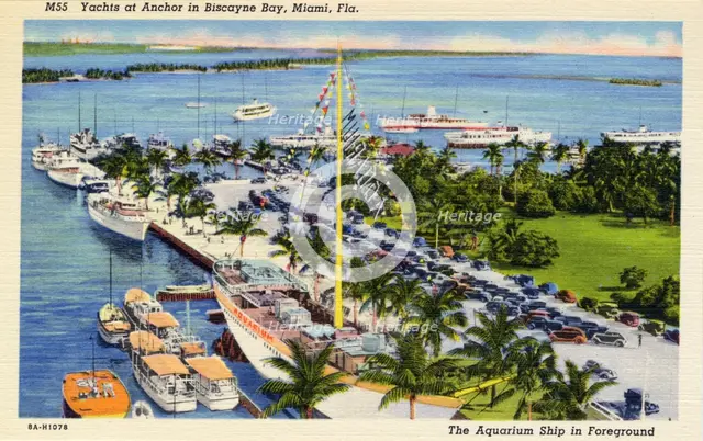 Yachts at anchor in Biscayne Bay, Miami, Florida, USA, 1938. Artist: Unknown
