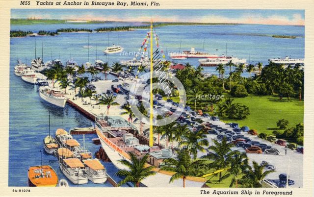 Yachts at anchor in Biscayne Bay, Miami, Florida, USA, 1938. Artist: Unknown