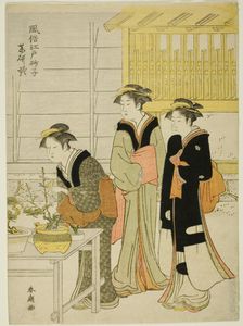 Yagenbori, from the series "Fashionable Sands of Edo (Fuzoku Edo sunago)", c. 1780/1801. Creator: Katsukawa Shuncho