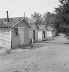 Yakima shacktown, (Sumac Park) is one of several large shacktown communities..., Washington, 1939. Creator: Dorothea Lange