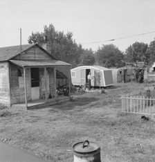 Yakima shacktown, (Sumac Park) is one of several large shacktown communities..., Washington, 1939. Creator: Dorothea Lange