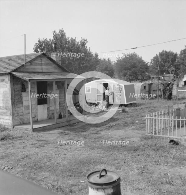 Yakima shacktown, (Sumac Park) is one of several large shacktown communities..., Washington, 1939. Creator: Dorothea Lange.