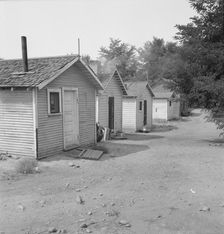 Yakima shacktown, (Sumac Park) is one of several large shacktown communities..., Washington, 1939. Creator: Dorothea Lange