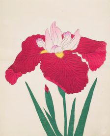 Yamamatayama, No. 83, 1890, (colour woodblock print)