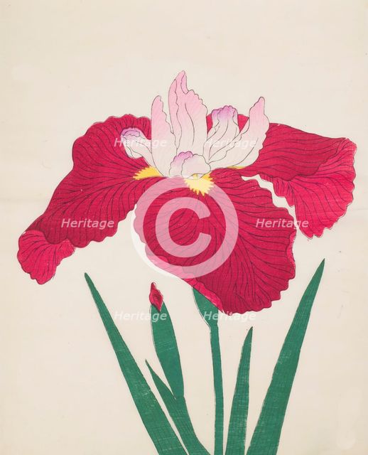 Yamamatayama, No. 83, 1890, (colour woodblock print)
