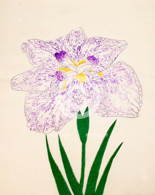 Yamato-Nishiki, No. 31, 1890, (colour woodblock print)