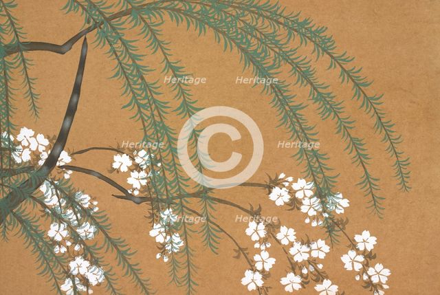 Yanagi Sakura, from Momoyo-gusa (The World of Things) Vol II, pub.1909 (colour block woodcut)