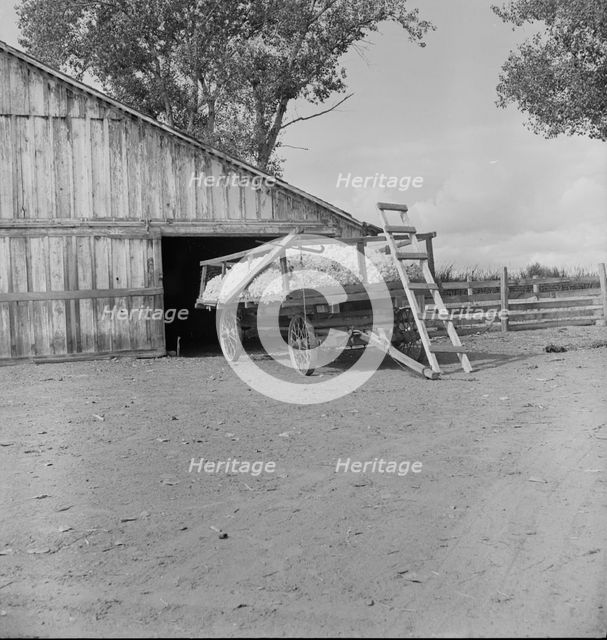 Yard barn and cotton wagon on small California cotton farm, Kern County, California, 1938. Creator: Dorothea Lange.