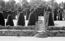 Yew Garden, Packwood House, Lapwood, Warwickshire, 1945-1980. Artist: Eric de Maré