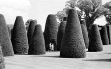 Yew Garden, Packwood House, Lapwood, Warwickshire, 1945-1980. Artist: Eric de Maré