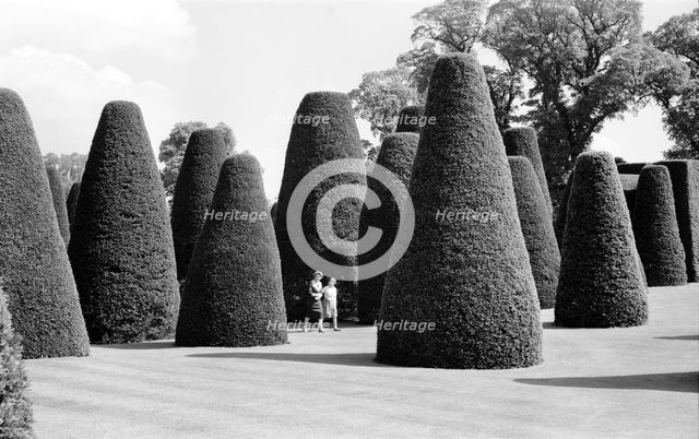 Yew Garden, Packwood House, Lapwood, Warwickshire, 1945-1980. Artist: Eric de Maré