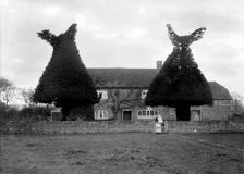 Yew tree topiary at Goosey Cottage, Goosey, Oxfordshire, c1860-c1922. Artist: Henry Taunt