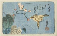 Yellow bird and begonia, n.d. Creator: Ando Hiroshige