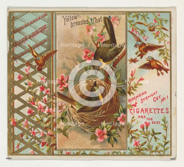 Yellow-breasted Chat, from the Birds of America series (N37) for Allen & Ginter Cigarettes..., 1888. Creator: Allen & Ginter.