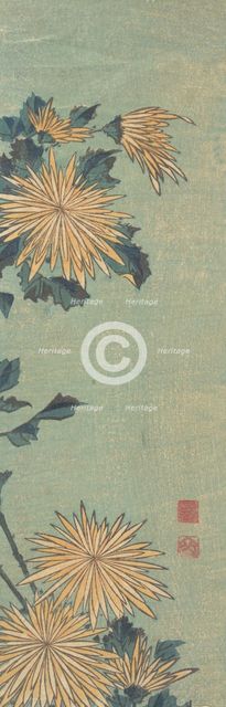 Yellow Chrysanthemums on a Blue Ground, ca. 1825. Creator: Hokusai.