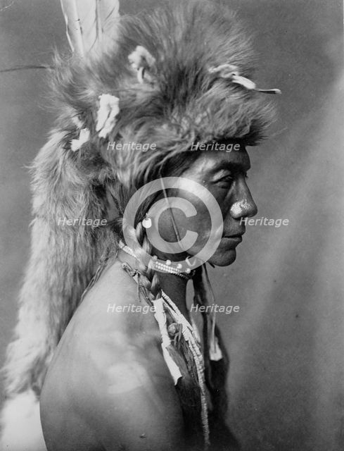 Yellow Kidney, Piegan, c1910. Creator: Edward Sheriff Curtis.