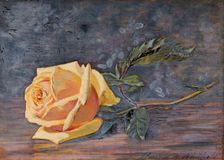 Yellow Rose, 1887. Creator: Florence Westwood Whitfield