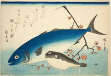 Yellowtail, blowfish, and plum branch, c. 1840/42. Creator: Ando Hiroshige