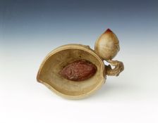 Yixing stoneware brushwasher of peach shape, Qing dynasty, China, 18th century. Creator: Unknown