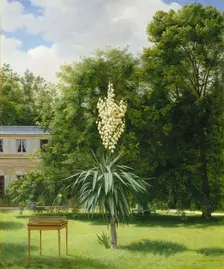 Yucca Gloriosa in the Park at Neuilly, 1845