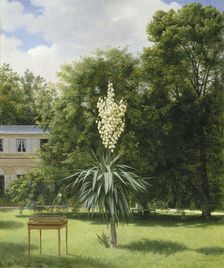 Yucca Gloriosa in the Park at Neuilly, 1845