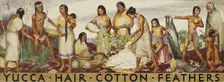 Yucca, Hair, Cotton, Feathers (mural study), ca. 1933-1943. Creator: Unknown