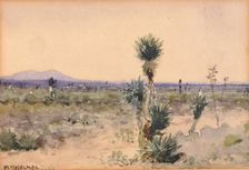 Yuccaland--Chihuahua, Mexico, n.d. Creator: William Henry Holmes