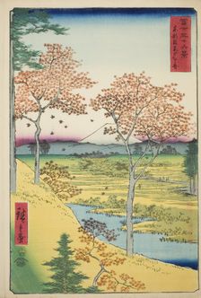 Yuhi Hill at Meguro in the Eastern Capital (Toto Meguro Yuhigaoka), from the series "Thirty...,1858. Creator: Ando Hiroshige