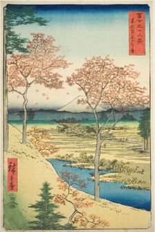 Yuhi Hill at Meguro in the Eastern Capital (Toto Meguro Yuhigaoka), from the series "Thirty-six..., Creator: Ando Hiroshige