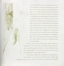 Yvette Guilbert-French Series: No. 11, 1894. Creator: Henri de Toulouse-Lautrec (French, 1864-1901)