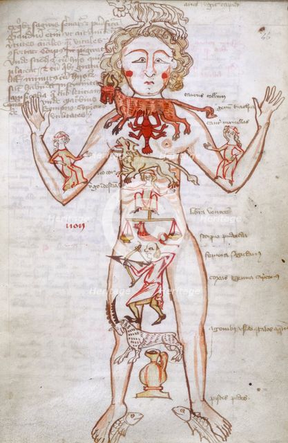 Zodiac man, 15th century. Creator: Unknown.