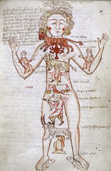 Zodiac man, 15th century. Creator: Unknown