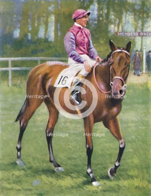 Zoltan, Jockey: M. Beary', 1939. Artist: Unknown.