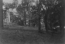 Zoo, c1895. Creator: Frances Benjamin Johnston