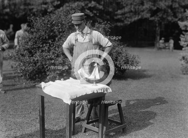 Zoo, Washington, D.C. Sokko, The Monkey, 1917. Creator: Harris & Ewing.