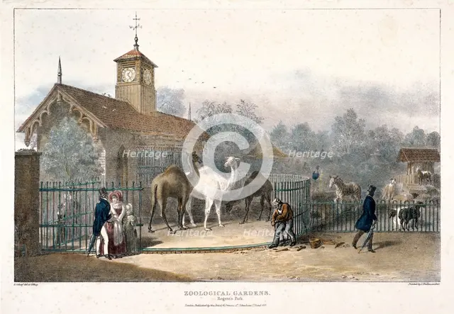 Zoological Gardens, Regent's Park, London, 1835. Artist: Charles Joseph Hullmandel